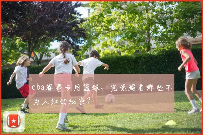 cba赛事专用篮球，究竟藏着哪些不为人知的秘密？
