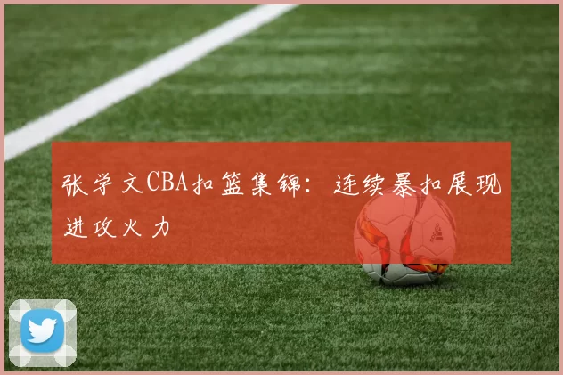 张学文CBA扣篮集锦：连续暴扣展现进攻火力